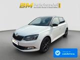 Skoda Fabia Style *PDC*Klima*CarPlay*Tempomat - Skoda Fabia mit Diesel-Antrieb