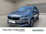 Skoda Karoq 2.0 TDI DSG Tour AHK Matrix Navi RFK PDC