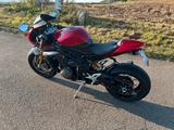 Triumph Speed Trible 1200 RR - TRIUMPH SPORTLER