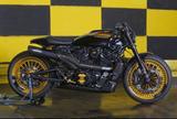 Harley-Davidson Sportster RH1250S - Queen of the Alps - Harley-Davidson Sportster S RH1250S
