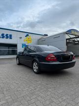 Mercedes-Benz Mercedes E220 CDI Elegance W211 +49 152 54... - Mercedes-Benz E 220: Cdi W211