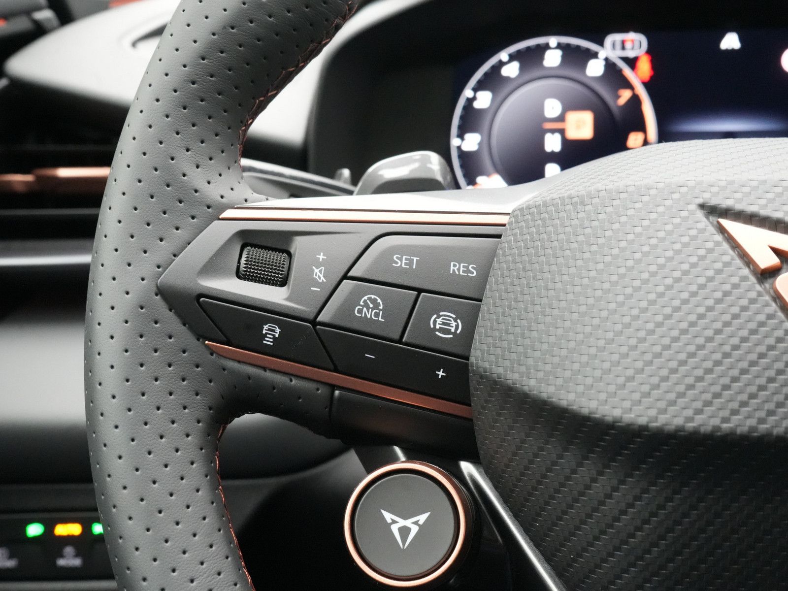 Cupra Terramar - Bild 15