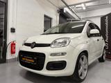 Fiat New Panda/SHZ/PDC/KLIMA/HU NEU/ZAHNR.NEU - scheckheftgepflegte Fiat Gebrauchtwagen