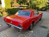 Ford Mustang - Ford Mustang in Magdeburg