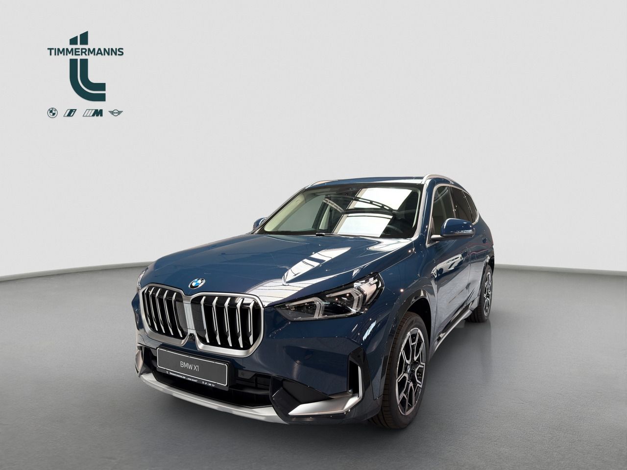 BMW X1 sDrive20d Steptronic Panorama Head-Up AHK
