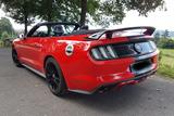 Ford Mustang 5.0 Ti-VCT V8 GT auto GT - Ford Mustang mit Benzin-Antrieb: Cabrio, 5.0