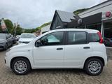 Fiat Pandina 1.0 Icon PDC Bluetooth 5'' Radio - weiße Fiat New Panda