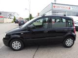 Fiat Panda 1.2 8V Dynamic Klima - gebrauchte Fiat Panda aus dem Jahr 2011