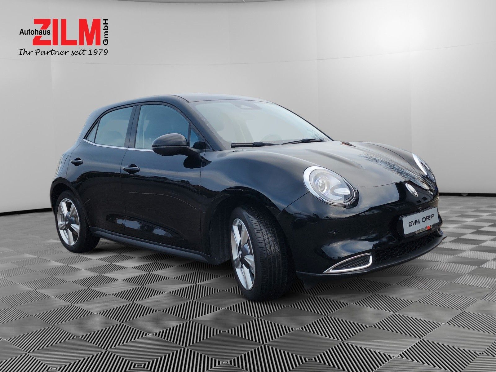 GWM Ora 03 - Bild 10