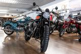 Royal Enfield BEAR 650, sofort lieferbar, Lieferservice - Royal Enfield Bear 650