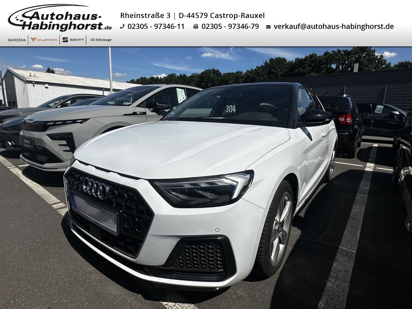 AUDI A1 30 TFSI DSG Advanced ACC Kessy LED PDC Shz