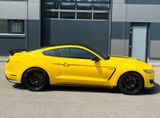 Ford Mustang Shelby GT 350 - Ford Mustang: Gt350 Shelby