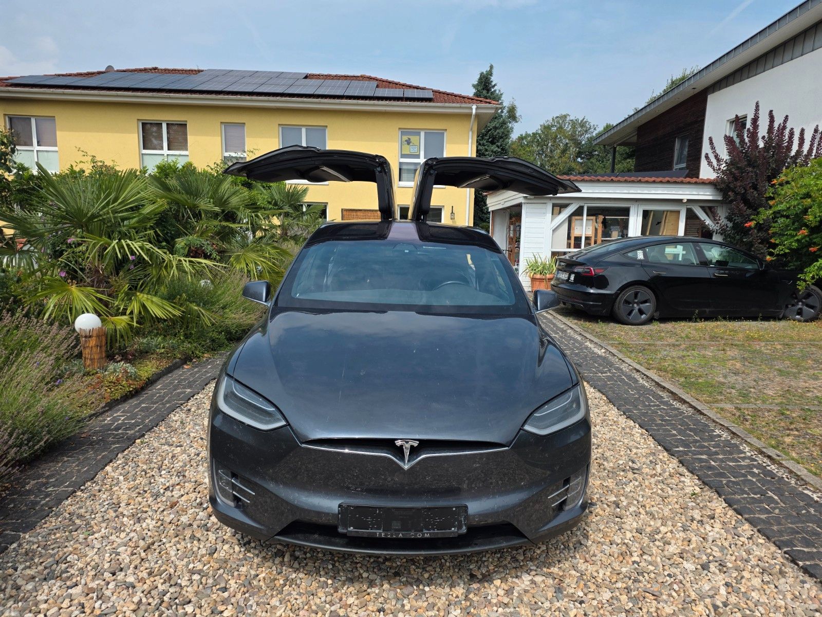 Tesla Model X Dual