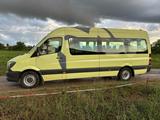 Mercedes-Benz 313 CDI Sprinter/Maxi lang -Hoch 9 - Sitzer - Mercedes-Benz Sprinter: 313 Maxi
