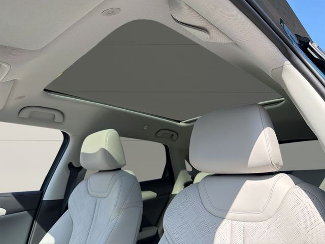 BYD ATTO 2 DM-i Boost