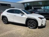 Lexus UX 250 h - Lexus in Braunschweig