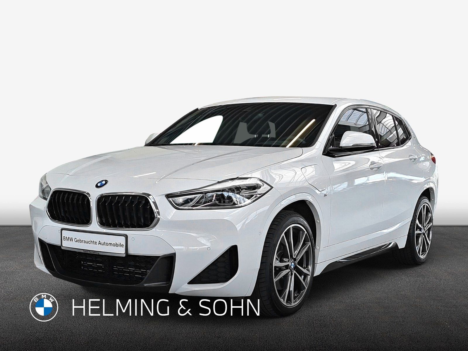 BMW X2 xDrive25e M-Sport DAB LED RFK Navi Shz. uvm.
