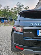 Land Rover Range Rover Evoque 2.0 TD4 132 kW Pure Autom... - Land Rover Range Rover Evoque Geländewagen Td4 pure mit Diesel-Antrieb