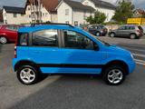 Fiat Panda 1.2 Climbing 4X4 überholter Motor bei 160t - Fiat Panda: Allradantrieb