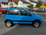 Fiat Panda 1.2 Climbing 4X4 überholter Motor bei 160t - Fiat Panda: Allradantrieb