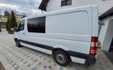 Mercedes-Benz 313 CDI Blue  906.231 1. Hand Standh. Klima AHK - Mercedes-Benz Sprinter: 906