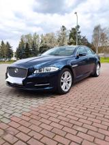 Jaguar XJ Portfolio 3.0 V6 Diesel S Portfolio - Jaguar XJ: Portfolio