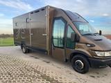 Iveco IVECO 65C17 - 2 paards wagen met living  - Iveco 65c17