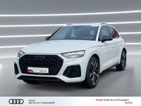 Audi SQ5 - Vorschau Bild 1
