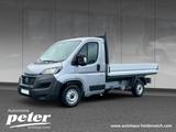 Fiat Ducato L2H1 NoKa Pritsche + AHK - Angebote