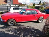 Ford Mustang v8 magnaflow borgeson  - Ford Mustang aus 1966: Coupe