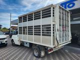 Ford Transit 2.5 diesel TRASPORTO ANIMALI VIVI - - gebrauchte Ford Transit aus dem Jahr 1993