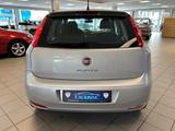 Fiat Punto Pop - Fiat Punto Gebrauchtwagen