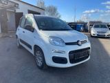 Fiat Panda Pop "TÜV 02.2016"SERVO"ELEKTR.FENSTER" - Fiat Panda: Pop