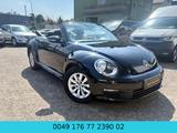 Volkswagen Beetle Cabriolet Basis BMT*SERVICE NEU*KLIMA* - Volkswagen Beetle mit Benzin-Antrieb: Cabrio