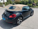 Volkswagen Beetle 1.2 TSI BMT Exclusive Design Cabriole... - Volkswagen Beetle in Wuppertal