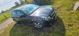 Opel Signum 2.8l Auto - perfektes Anfänger... - gebrauchte Opel Signum aus dem Jahr 2006