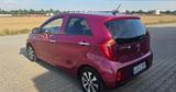 Kia Picanto 1.0 Dream-Team Edition Dream-Team Ed... - Kia Picanto Dream-Team mit Benzin-Antrieb