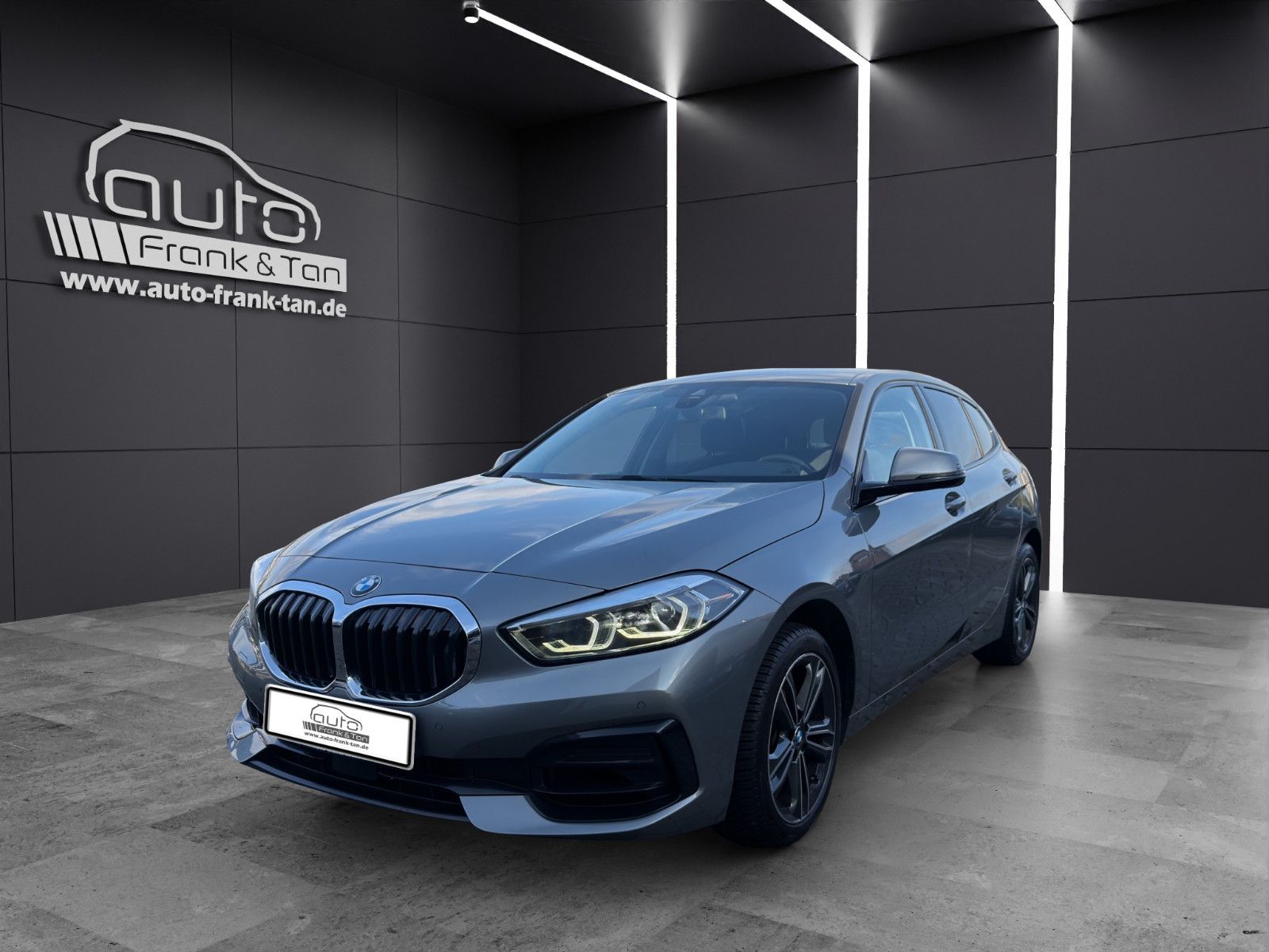 Fahrzeugabbildung BMW 116 i Sport Line/Winter Paket/Performance/Tempo