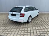 Skoda Octavia 1.6 TDI Clever LED/17-ZOLL/NAVI/BUSINESS - Skoda Octavia: Business