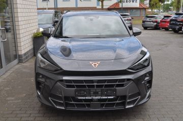 Cupra Terramar - 5