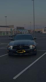 Ford Mustang LPG - mit LPG-Antrieb: Coupe, Automatik