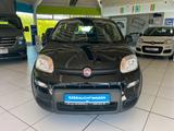 Fiat Panda 1.0 GSE Hybrid - Fiat Panda in Hagen
