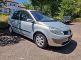 Renault,Scenic,1,6,Zahnriemen,Service,Tüv,Neu - Renault Scenic in Halle