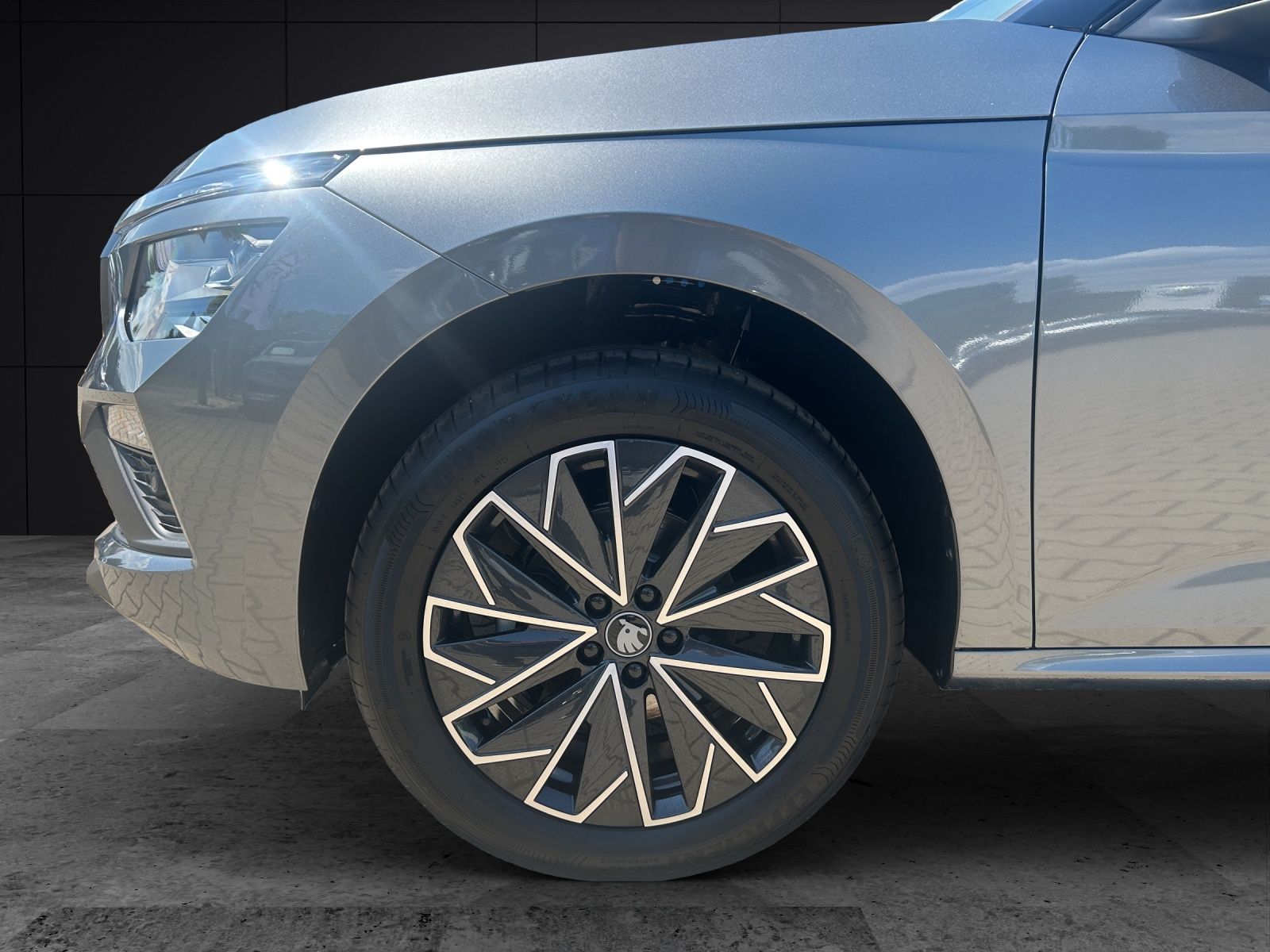 Fahrzeugabbildung SKODA Kamiq 1.0 TSI Selection DSG MATRIX AHZV