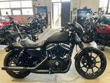 Harley-Davidson Sportster XL 883N Iron - Offers