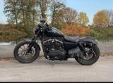 Harley-Davidson XL883N Iron 883 Sporster - Offers