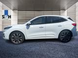 Ford Kuga PHEV*St-Line X*Navi - Used cars