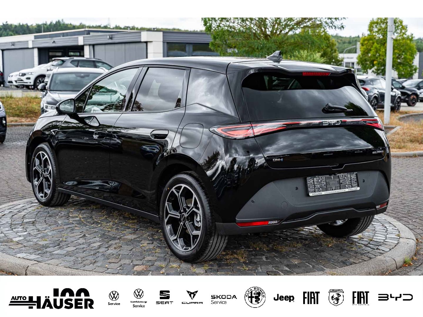 BYD DOLPHIN