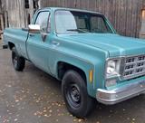 Chevrolet Chevy C20  - Chevrolet: Chevy