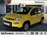 Fiat Panda Hybrid 1.0 Klima PDC DAB USB Kollisionswar - Fiat Panda: Gelb